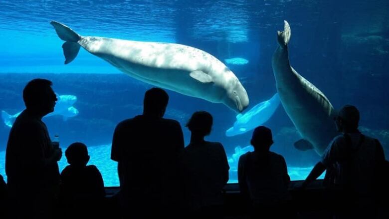 Kids at Marineland.