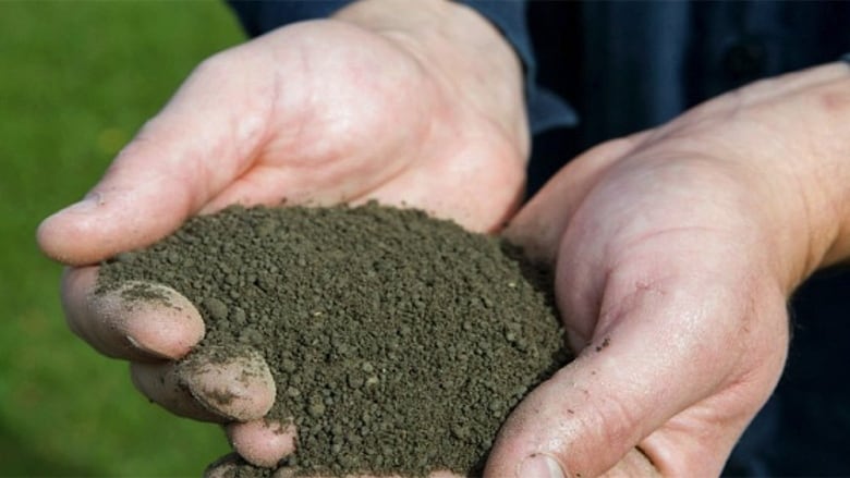 A close of two open hands, cuppin greenish-black clumps of powder. 