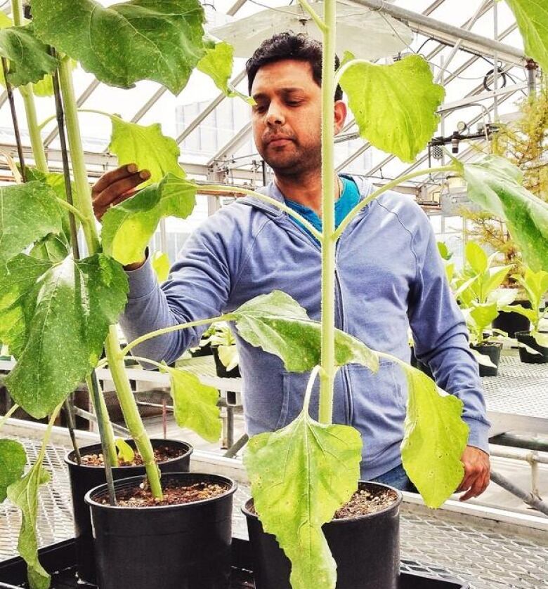 A man is pictured with plants.