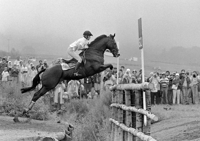 A horse and rider approach a jump.