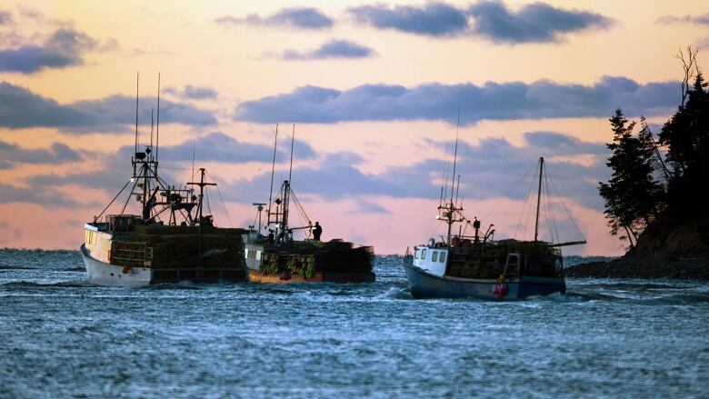 Three fishing boats on the water.