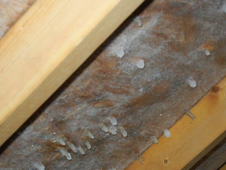 A ceiling with frozen ice is seen in this close-up shot.