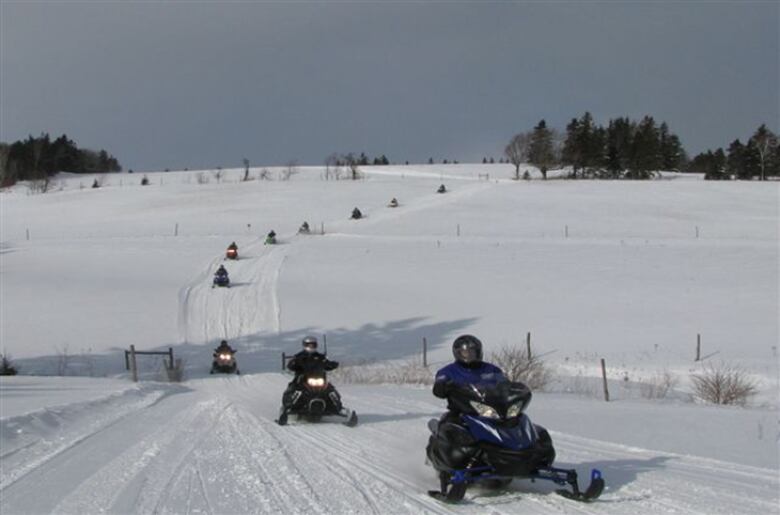 A line of snowmobiles on an open section of Confederation Trail.