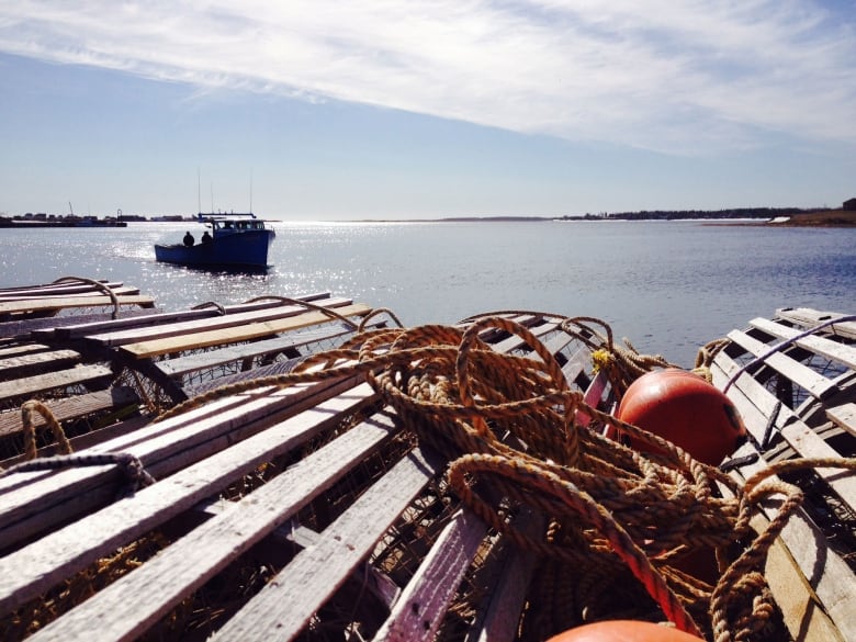 Lobster traps are piled one on top of the other along the water's edge. A fishing boat is in the background.