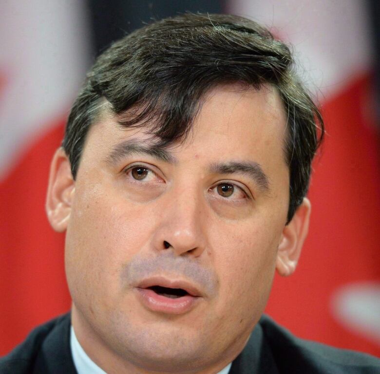 Conservative MP Michael Chong addresses a press conference in Ottawa on Tuesday December 3, 2013. Chong says it would be an abomination if the Senate thwarts his bill to rebalance power between MPs and the party leaders. THE CANADIAN PRESS/Sean Kilpatrick