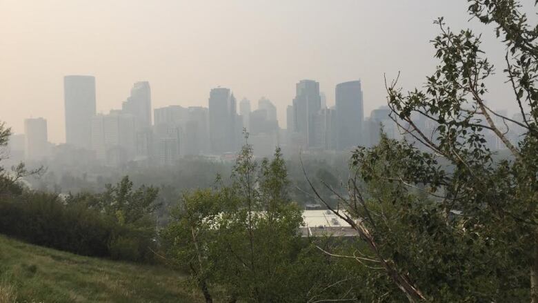 Green trees and grass in the foreground overlook a river into a city skyline partially obscured by grey smoke.