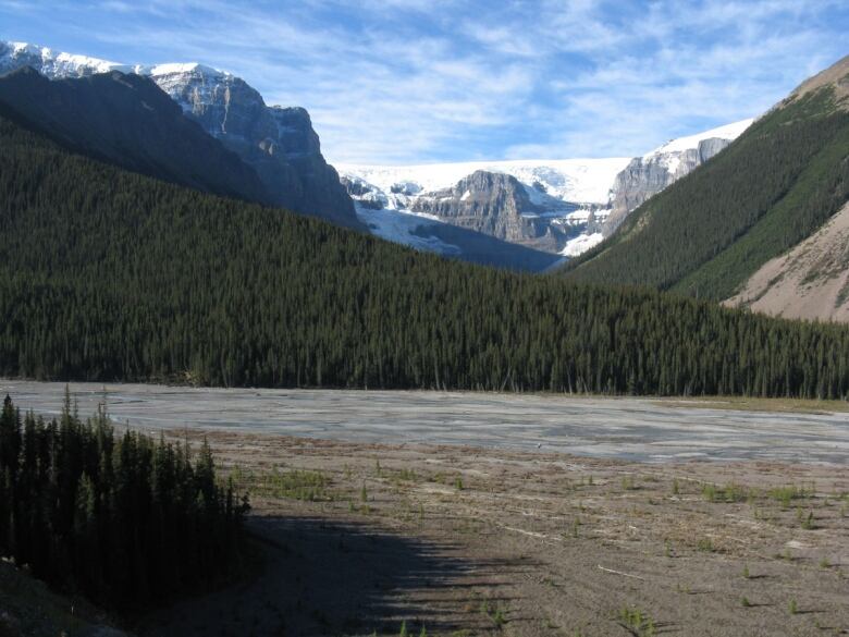 River that is depleted from water. Behind it a mountainline with snowpeaks, and a hill covered in trees. 