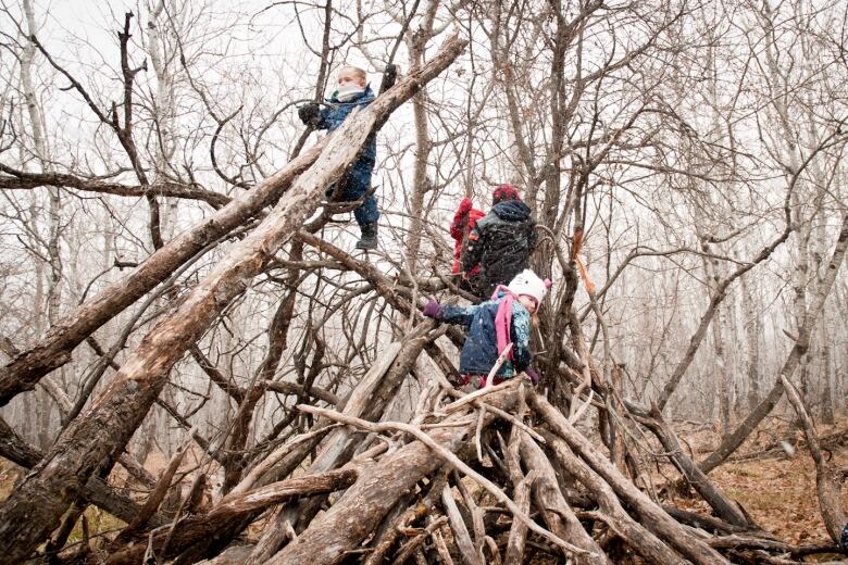 kids climbing trees