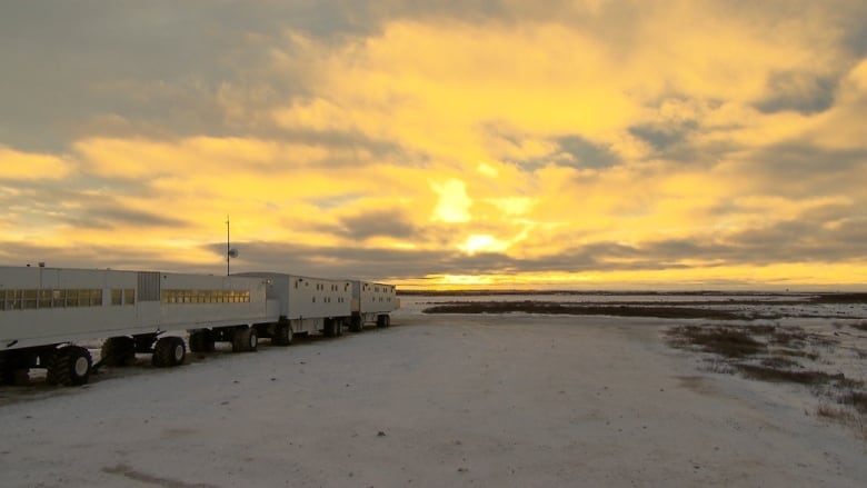 A winter scene on a remote tundra. The sky is yellow as the sun sets