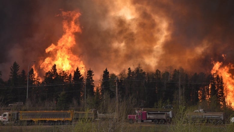 Flames shoot above a tree line while logging trucks drive past.