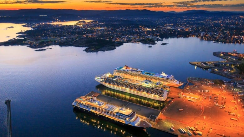 Victoria's Ogden Point cruise ship terminal sits next to the James Bay neighbourhood.