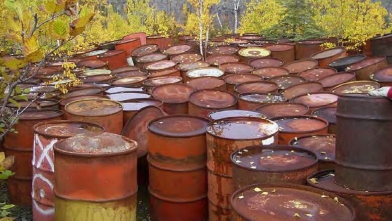 Dozens of rusty barrels sit together with trees in the background. 