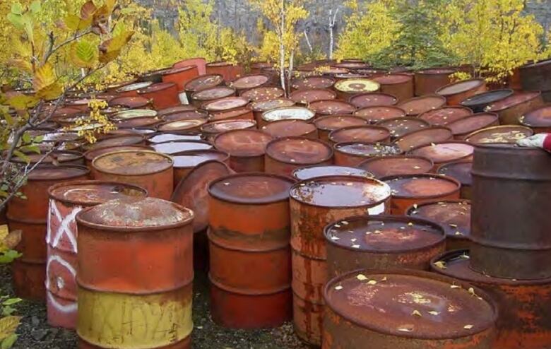 Dozens of rusty barrels sit together with trees in the background. 