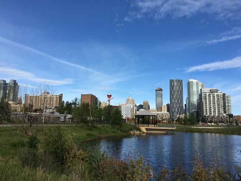 A pond can be seen in the foreground of the photo with high-rise buildings looming in the background against a blue sky. 