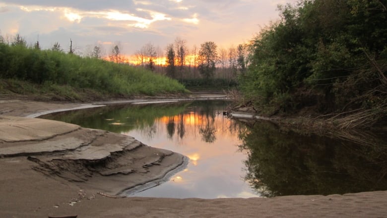 A northern Canadian wilderness scene at sunset, with orange and yellow sunlight reflected in a body of water surrounded by trees.