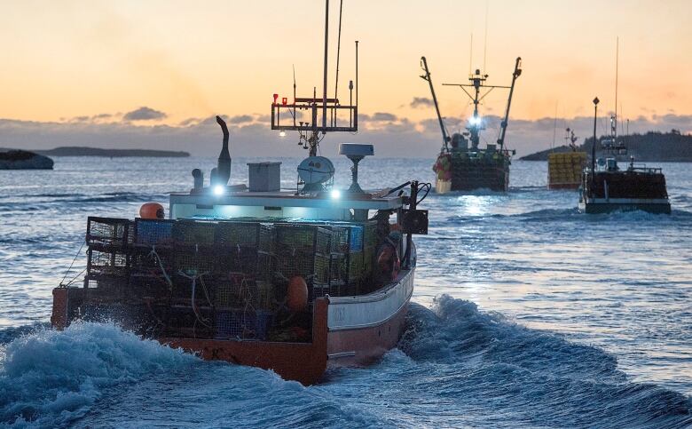 boat with lobster traps on the back