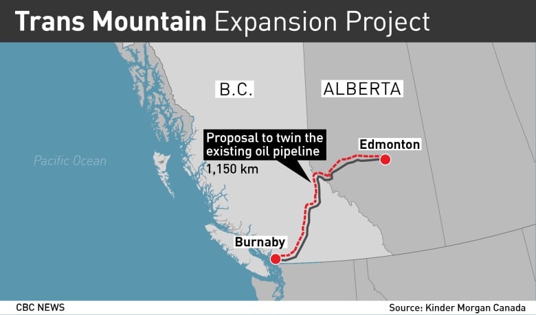 The twinning of the 1,150 kilometre-long Trans Mountain pipeline will nearly triple its capacity to an estimated 890,000 barrels a day and crude oil-carrying tanker traffic from the Westridge Marine Terminal could increase from about three vessels a month to one a day. 