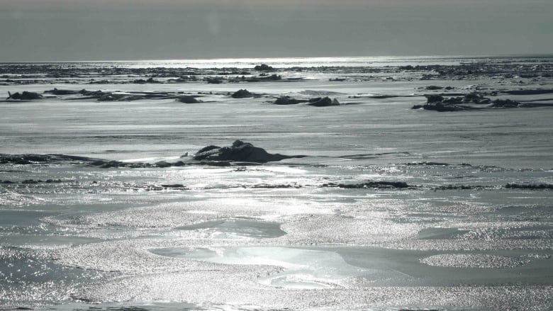 A frozen sea.