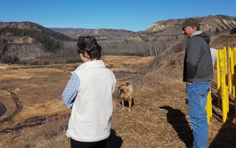 Two people and a dog look out over a valley with yellow stakes nearby.