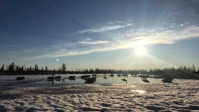 A flock of geese on a snowy landscape with a rising sun.