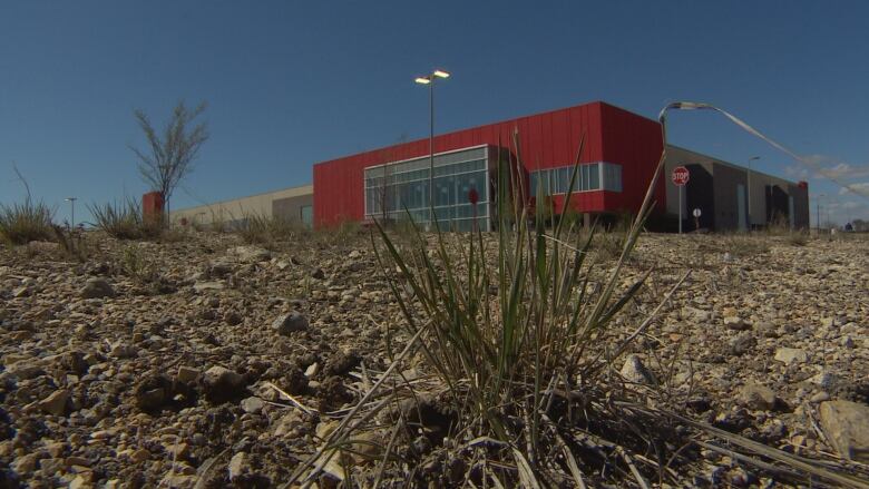 A red commercial building rises above a field of weeds.