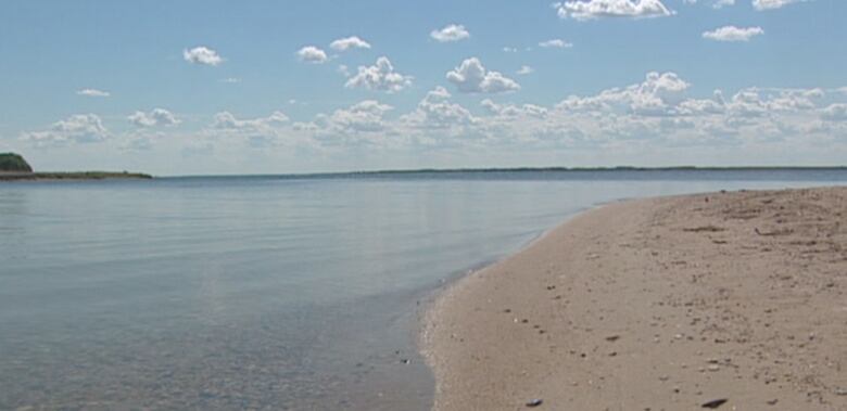 A lake shore and sand.