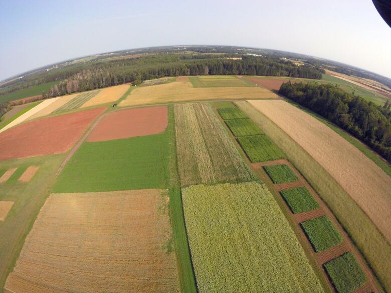 farmers fields taken by a drone