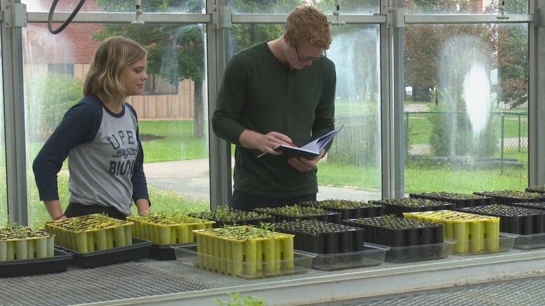 A young man and woman stand over a table full of tiny seedlings in a greenhouse.