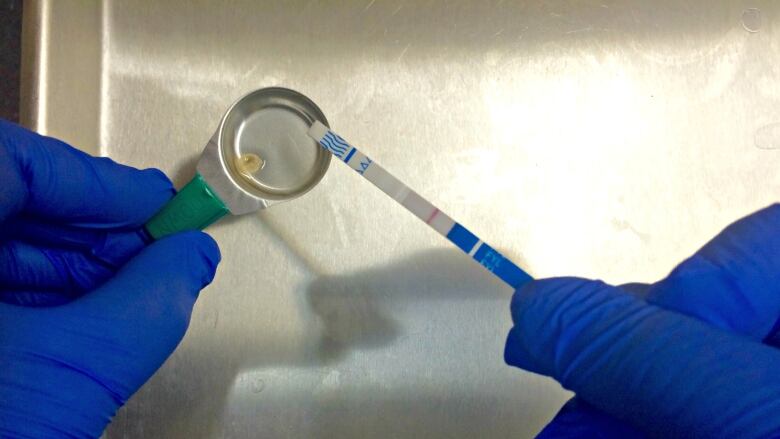 Close-up of two hands wearing blue rubber gloves holding a test strip with blue markings on it over a vial of liquid.