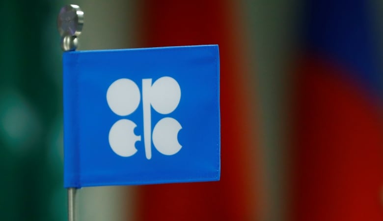 A small, blue paper flag on a wire stick with white letter-like symbols that spell out OPEC.