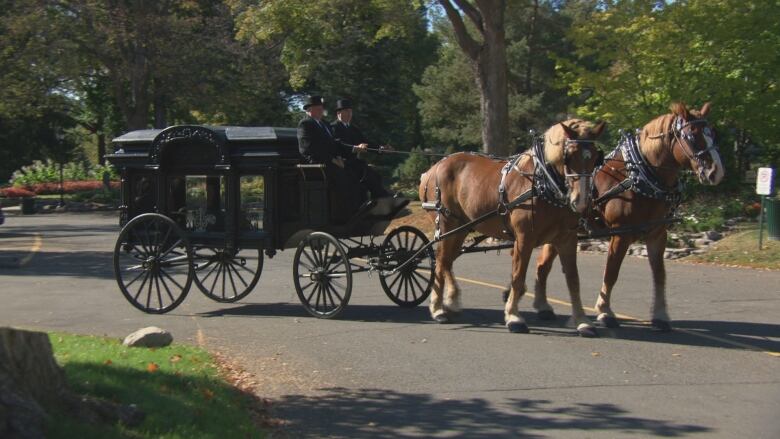 Two horses pull a black carriage through a cemetery on a sunny autumn day.