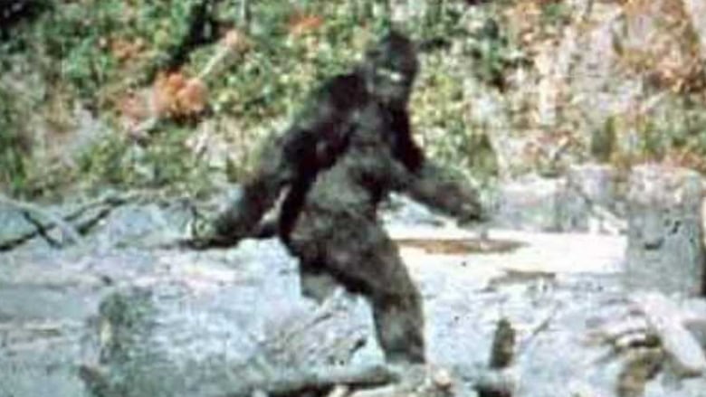 A grainy photo shows a large hairy creature mid-walk and facing the camera. In the background is a rock-filled areas before a forest. 