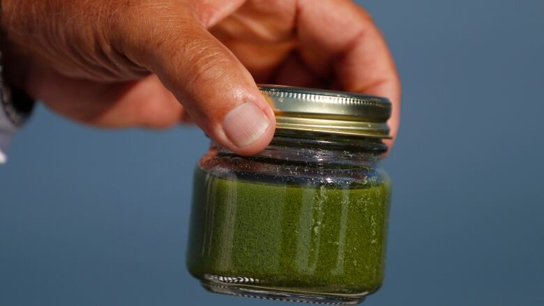 Charter boat captain Dave Spangler holds a sample of algae from Maumee Bay in Lake Erie in Oregon, Ohio, on Friday, Sept. 15, 2017. Scientists estimate about 85 percent of the Maumee's phosphorus, which promotes algal growth, comes from croplands and livestock operations.