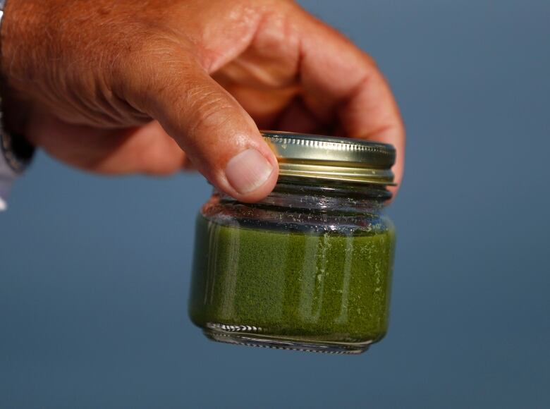 Charter boat captain Dave Spangler holds a sample of algae from Maumee Bay in Lake Erie in Oregon, Ohio, on Friday, Sept. 15, 2017. Scientists estimate about 85 percent of the Maumee's phosphorus, which promotes algal growth, comes from croplands and livestock operations.