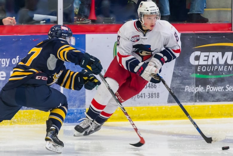 Two ice hockey players in action at a game.