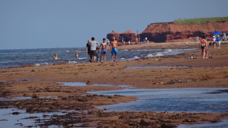 Beach with people in water and on sand.