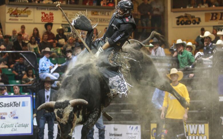 A man rides a bull