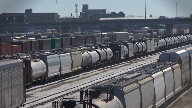 Long lines of freight cars are seen in a rail yard