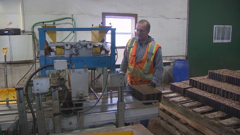 A man operates a machine that puts seedlings into small planting pots. 