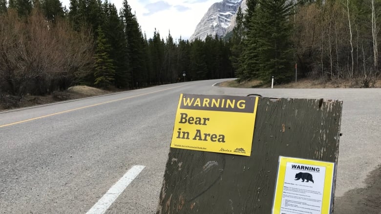 A sign warning of bears in the area is seen in this file photo from 2018.