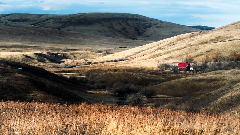 A rolling valley with mostly blue sky and a small, red-roofed house.