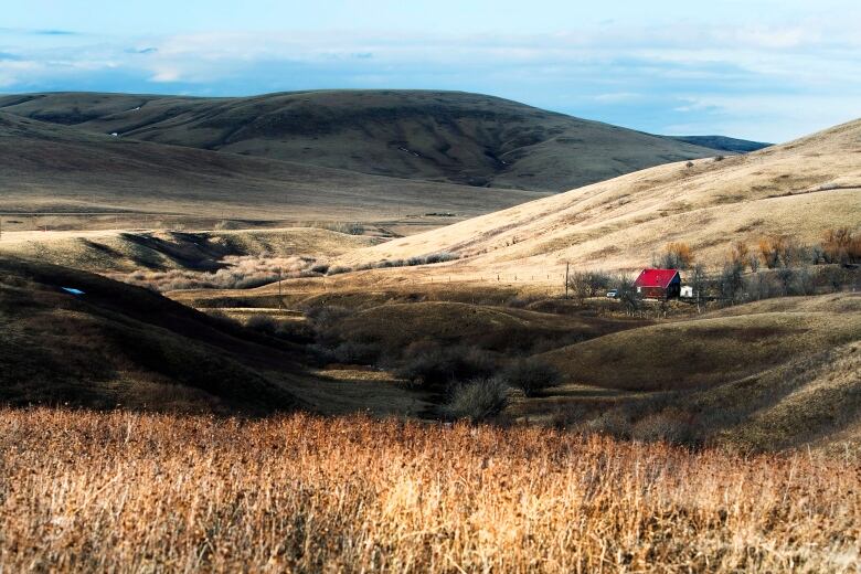 A rolling valley with mostly blue sky and a small, red-roofed house.