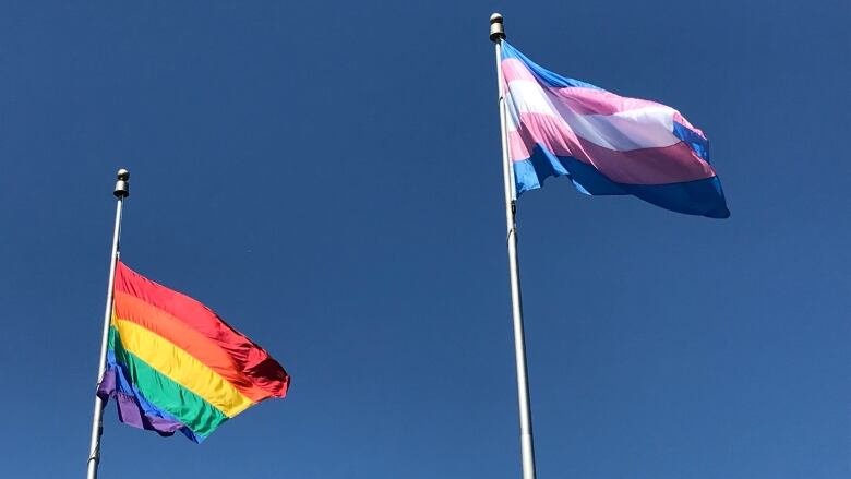 A LGBTQ+ pride rainbow flag and a trans pride flag flying next to each other.