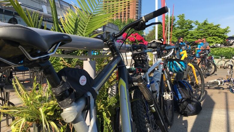 A swarm of cyclists rode to the city's waterfront Monday May 28 for the 10th annual bike to Work Day. 