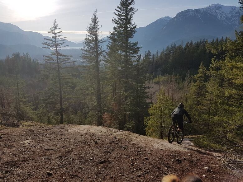 A person on a mountain bike rides down a gravel trail among trees with mountains in the background.