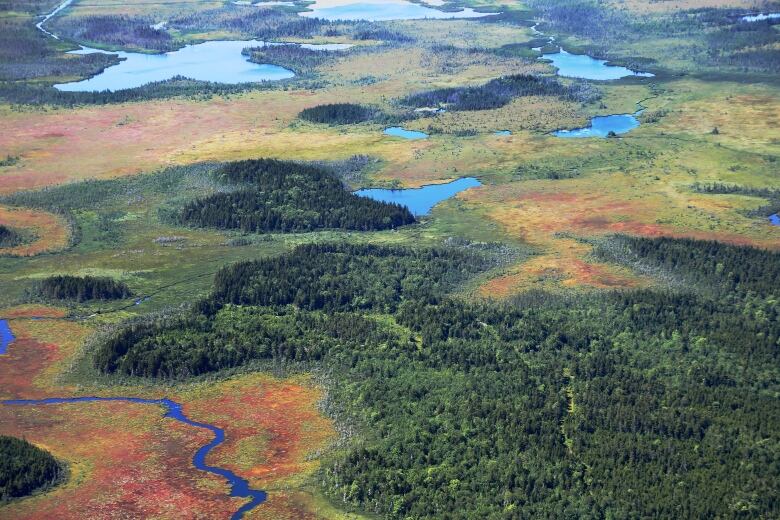 An aerial photo shows forested land and bodies of water.