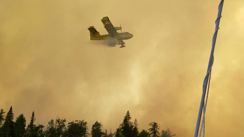 A water bomber aircraft soars over a smoky landscape of charred pine and spruce trees.