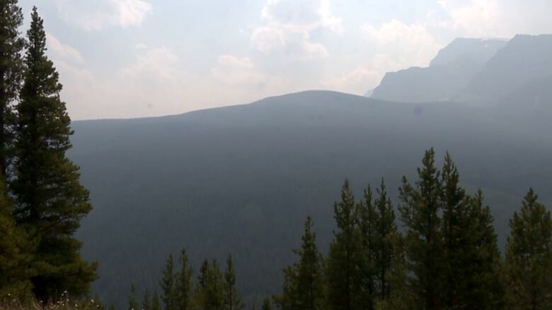 A smoky mountain range can be seen. Trees are in the foreground. 