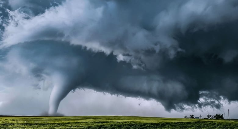 A tornado twists through a farm field.