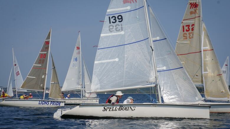 People on sailing boats